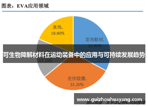 可生物降解材料在运动装备中的应用与可持续发展趋势